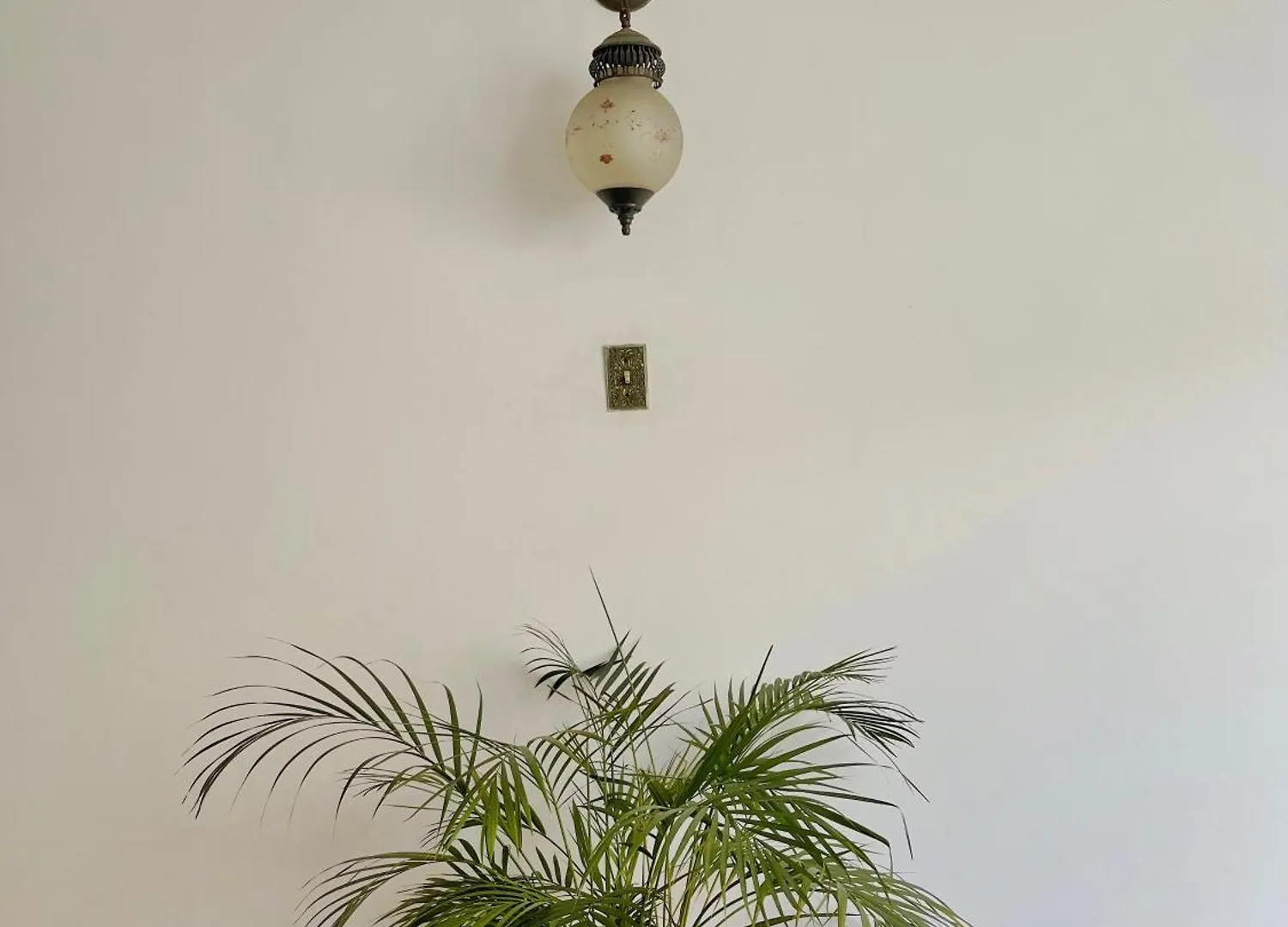 麦德林 Calibri, La Casa Libre Del Rio酒店 0*,  哥伦比亚